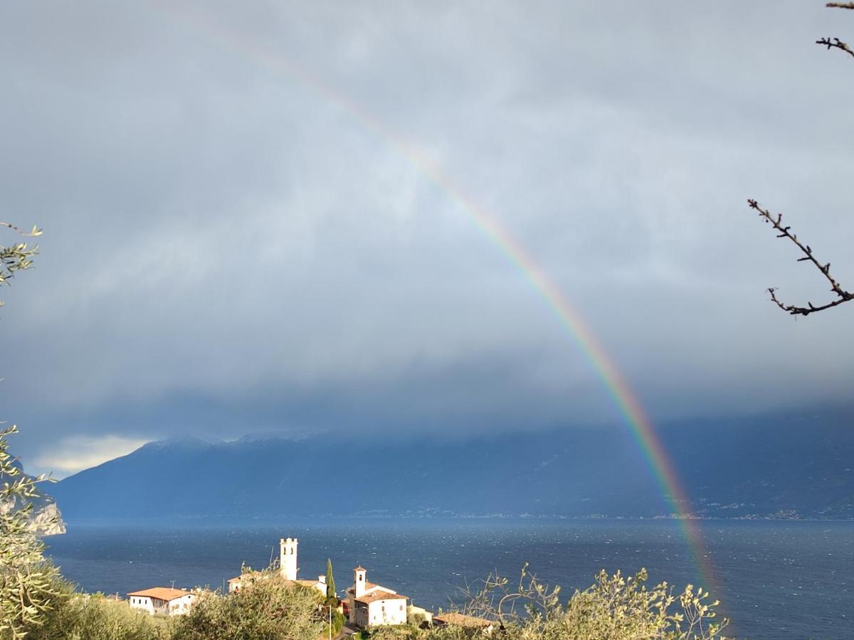 Agriturismo L'Uliveto Gargnano Szoba fotó