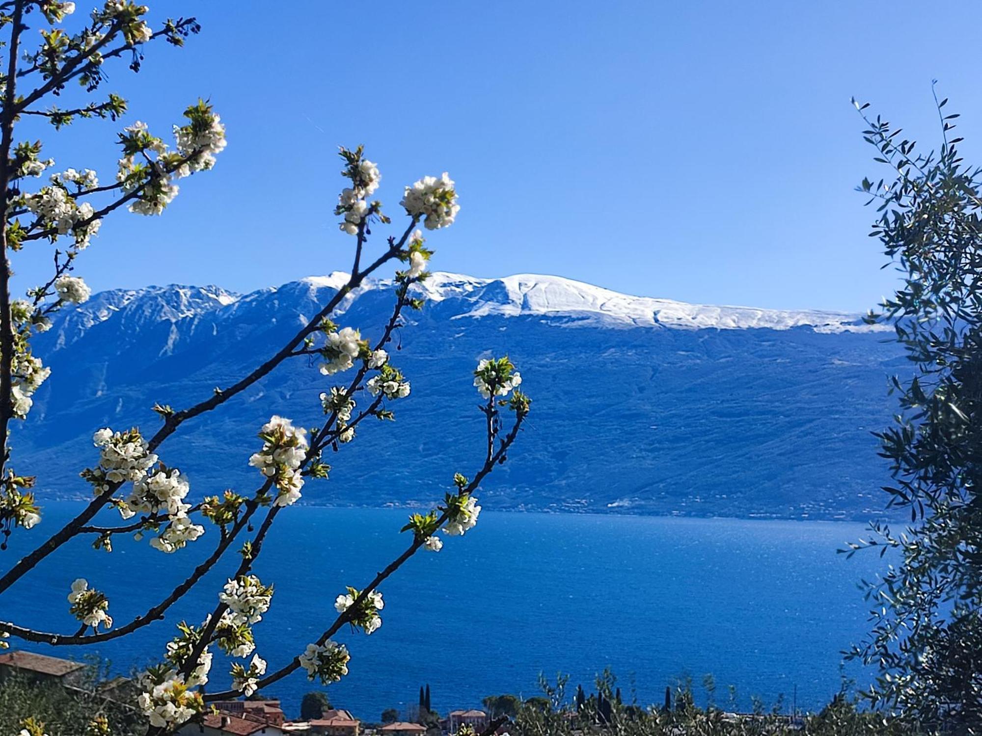 Agriturismo L'Uliveto Gargnano Kültér fotó